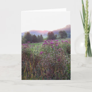 Morning Meadow Blank Card