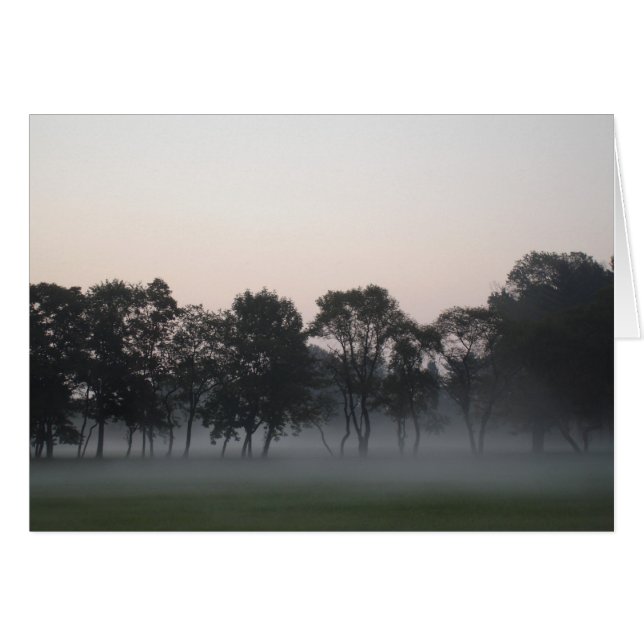 Morning Mist (Front Horizontal)