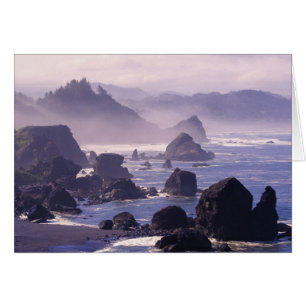 Morning mist along Oregon coast near Nesika,