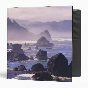 Morning mist along Oregon coast near Nesika, Binder