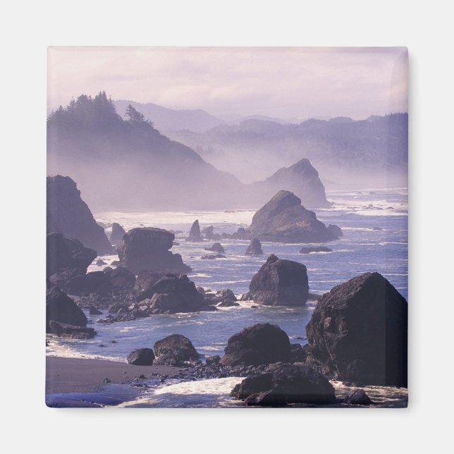 Morning mist along Oregon coast near Nesika, Magnet (Front)