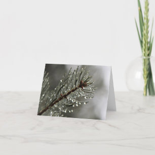 Morning Mist Note Card
