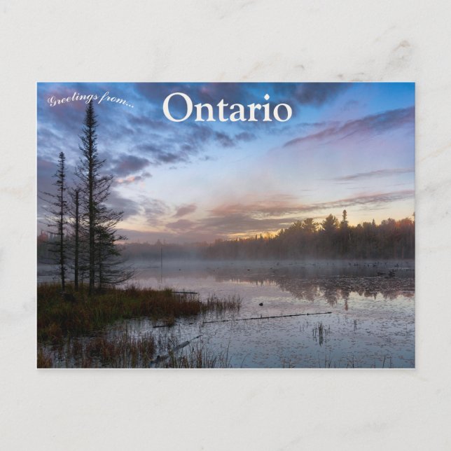 Morning Mist on Beaver Pond in Northern Ontario Postcard (Front)