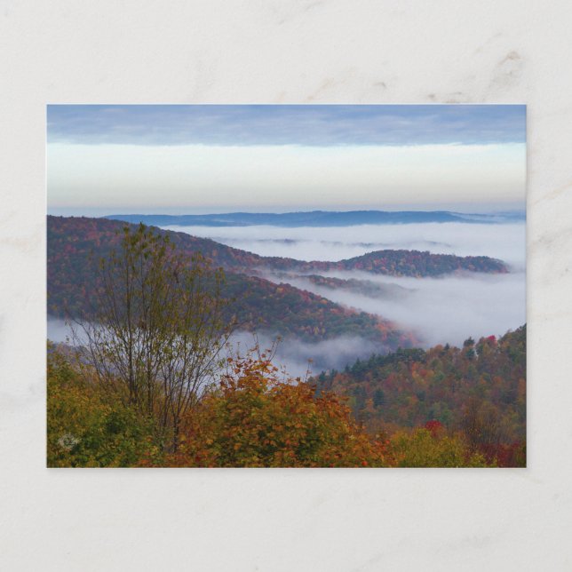 Morning mist on the mountains postcard (Front)