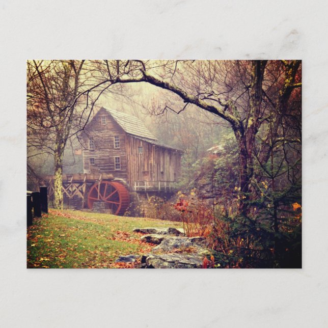 Morning Mist Postcard (Front)