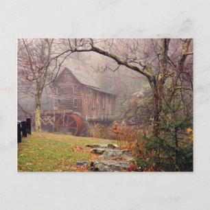 Morning Mist Postcard