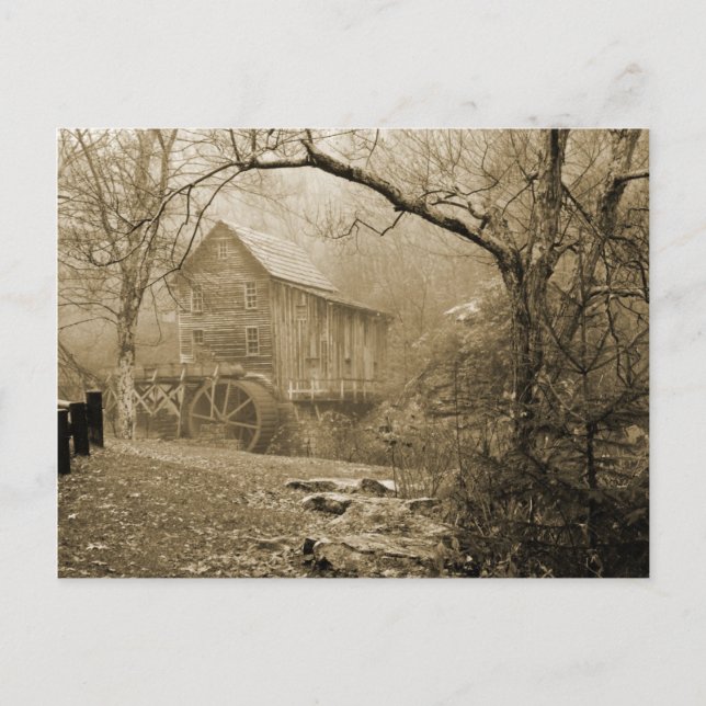 Morning Mist Postcard (Front)