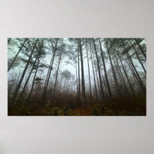 Morning Mist,  Poster