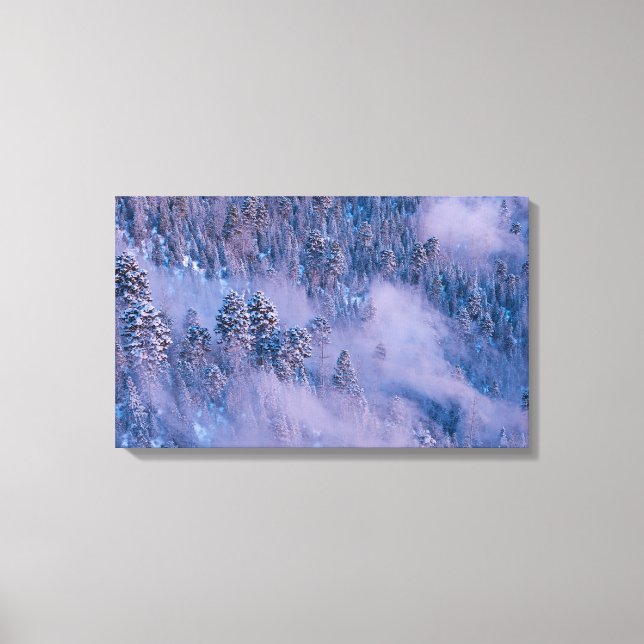Morning Mist (Winter) Canvas Print (Front)