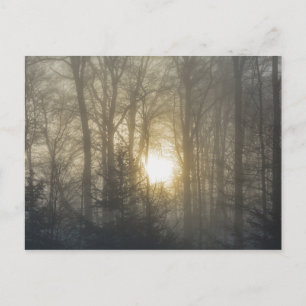 Morning Mood Postcard