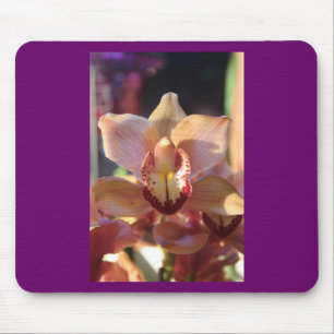 Morning Orchid Mouse Pad