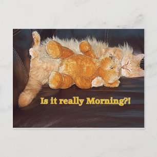 Morning?? Postcard
