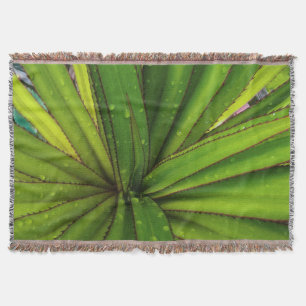 Morning Rain on the Screw Pine Throw Blanket