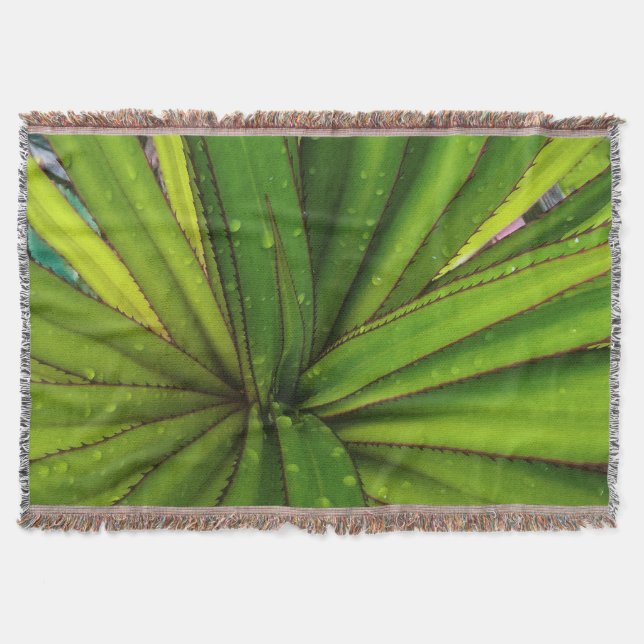 Morning Rain on the Screw Pine Throw Blanket (Front)
