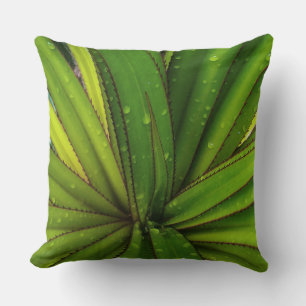 Morning Rain on the Screw Pine Throw Pillow