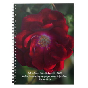 Morning Red Rose Bible Verse Prayer Journal