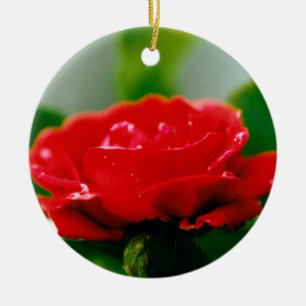 Morning Red Rose covered with dew drops Ceramic Ornament