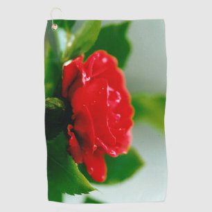 Morning red Rose covered with dew drops Golf Towel