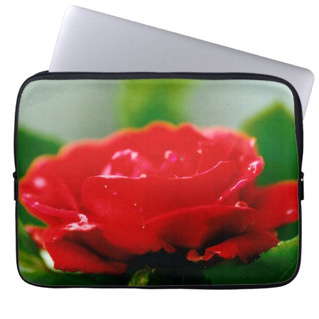 Morning red Rose covered with dew drops  Laptop Sleeve (Front)