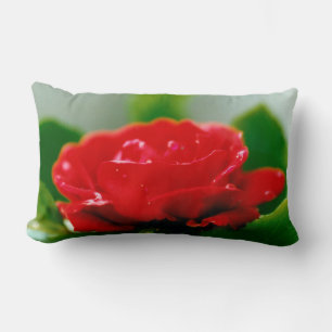 Morning red Rose covered with dew drops  Lumbar Pillow