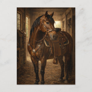 Morning Ride   Horse Art   Postcard