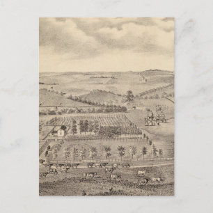 Morning scene, JD Rivers stock farm Postcard