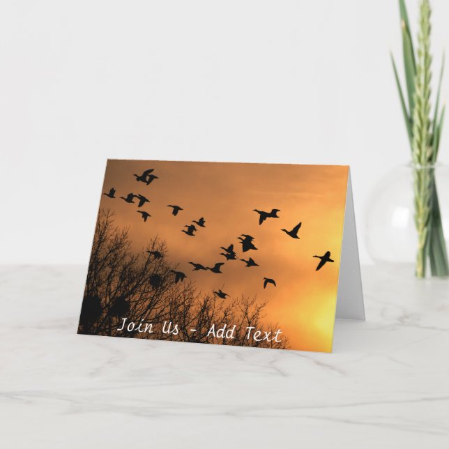 Morning Sun Flying Ducks Greeting Cards (Front)