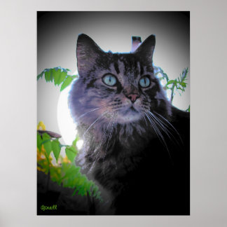 Morning sun is up poster