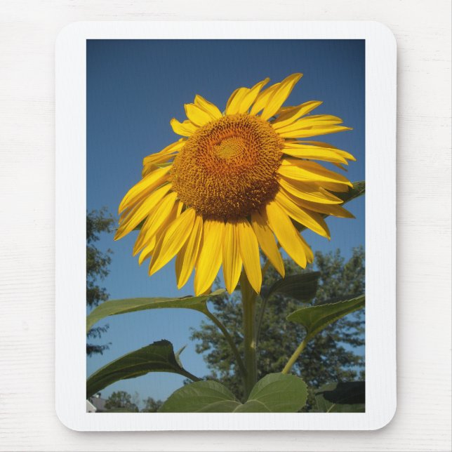 Morning Sunflower Mouse Pad (Front)