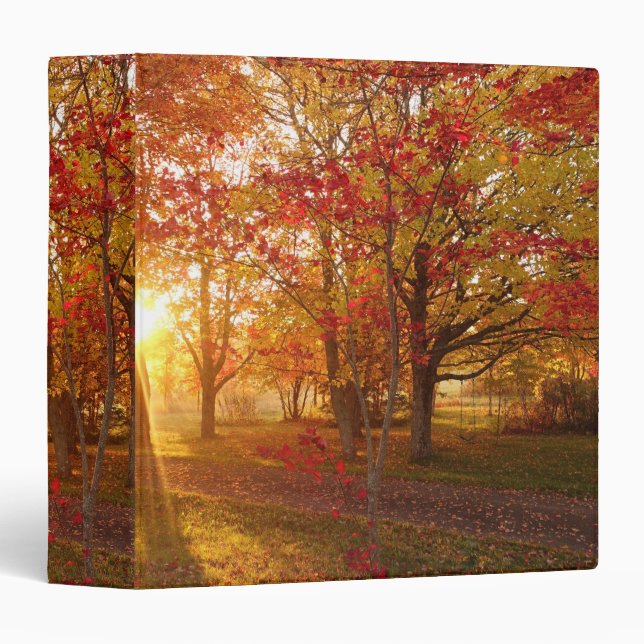 Morning sunlight through fall red maple woods binder (Front/Spine)