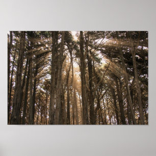 Morning sunrise poster