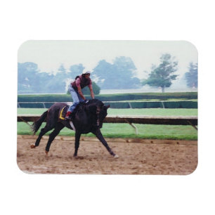 Morning Work Out - race horse magnet