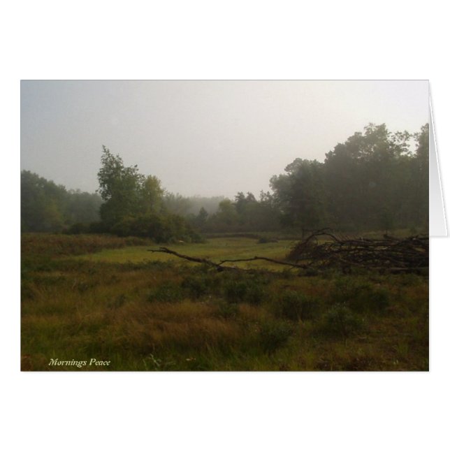 Mornings Peace (Front Horizontal)