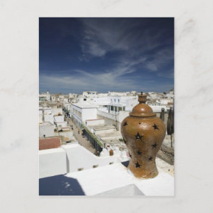 MOROCCO, Atlantic Coast, ESSAOUIRA: High Vantage Postcard