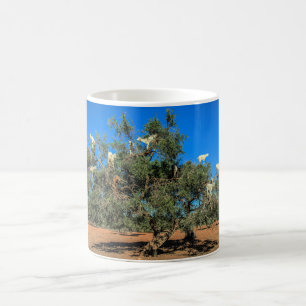 Morocco Funny Goats in Trees Coffee Mug