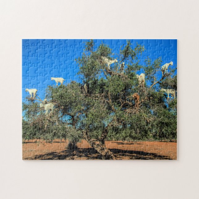 Morocco Goats in Trees Funny Jigsaw Puzzle (Horizontal)