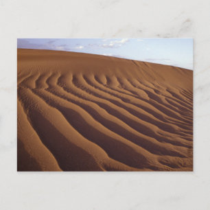 Morocco, Tinfou near Zagora), Sand dunes, Postcard
