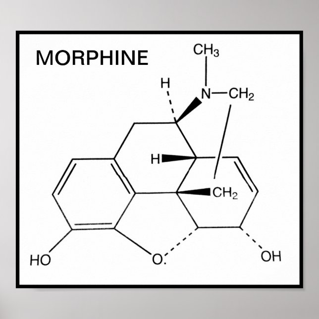 MORPHINE CHEMICAL STRUCTURE POSTER (Front)