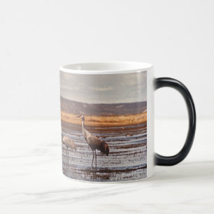 Morphing Mug / Sandhill Cranes @ Innoko NWR
