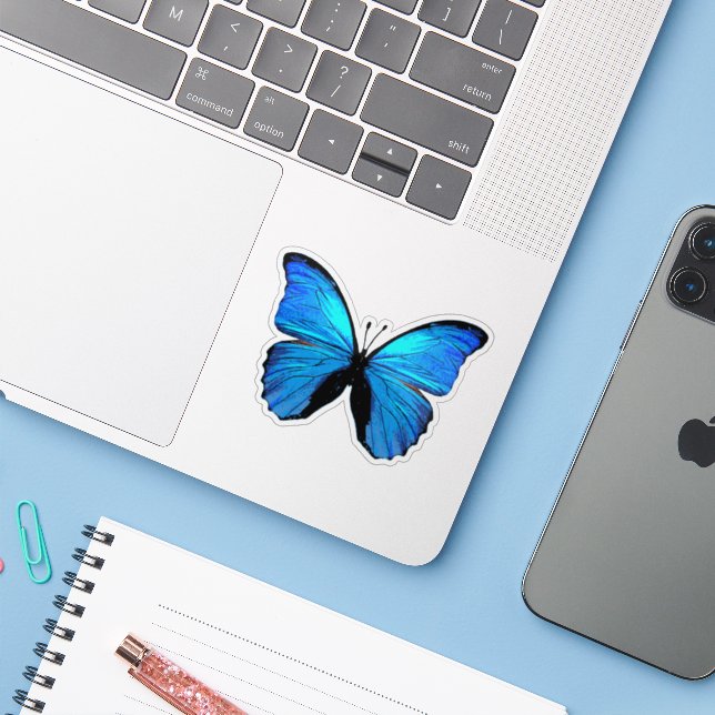 Morpho blue butterfly (Laptop w/ iPhone)