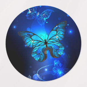 Morpho Butterfly in the Dark Background