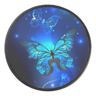 Morpho Butterfly in the Dark Background