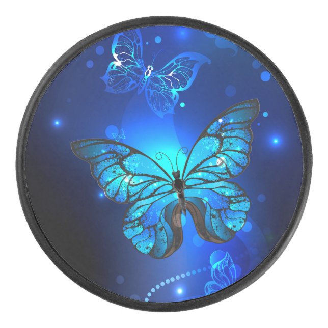 Morpho Butterfly in the Dark Background (Devant)