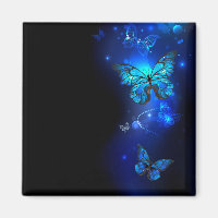 Morpho Butterfly in the Dark Background