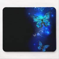 Morpho Butterfly in the Dark Background