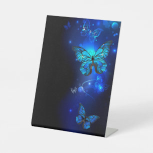 Morpho Butterfly in the Dark Background Pedestal Sign