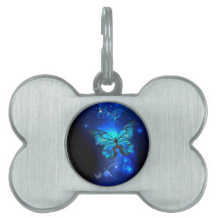 Morpho Butterfly in the Dark Background Pet ID Tag