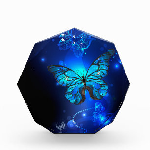 Morpho Butterfly in the Dark Background Photo Block