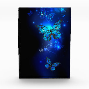 Morpho Butterfly in the Dark Background Photo Block