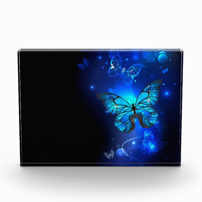 Morpho Butterfly in the Dark Background Photo Block (Front)
